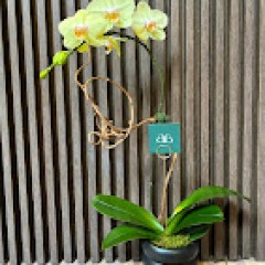 Seller Image